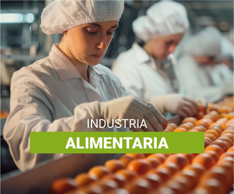 Industria Alimentaria