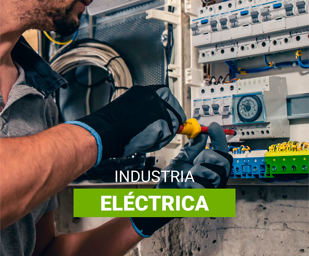 Industria Eléctrica
