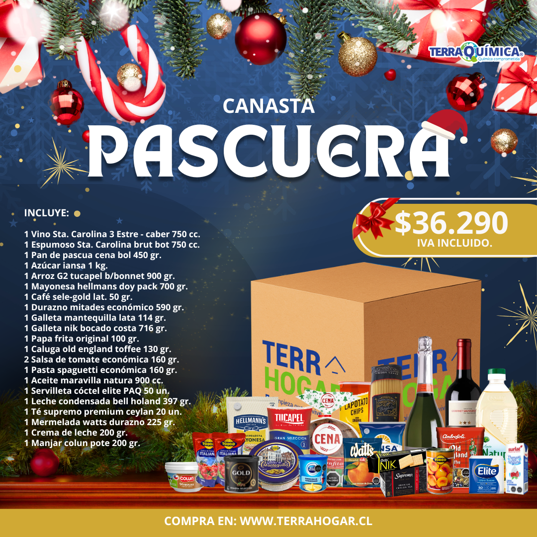 Canasta Navideña - PASCUERA