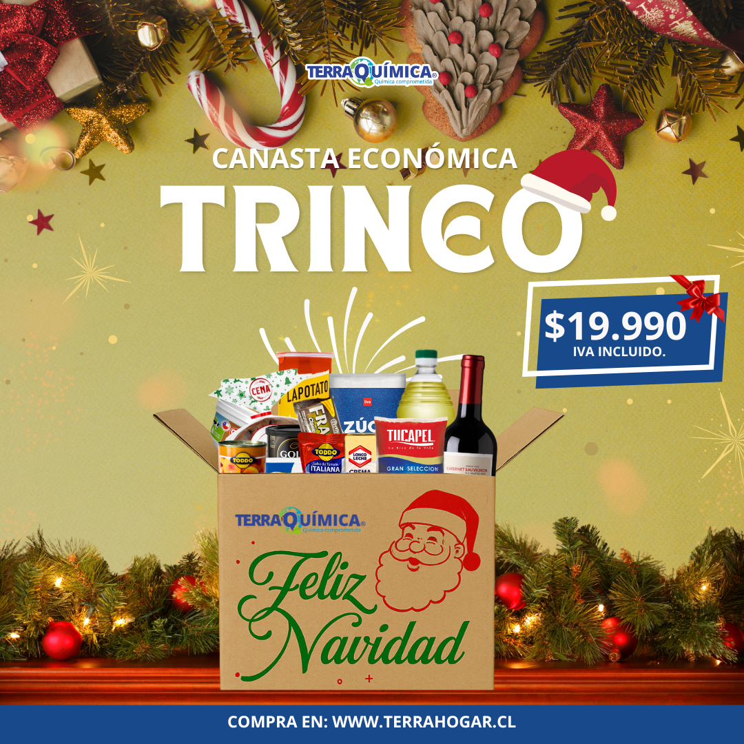 Canasta Navideña - TRINEO
